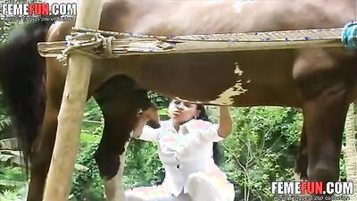 Dogs having sex: anal porno animal