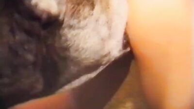 Dog girl anal: zooskool porno dog and girl