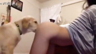 2 dog girl: generated zoo sex