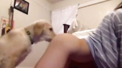 2 dog girl: generated zoo sex