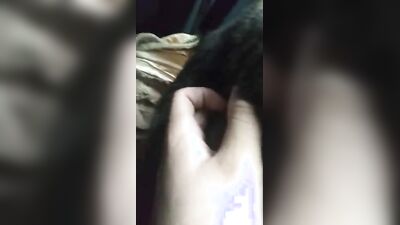 Zoo sex video: bestiality hentai dog telegram