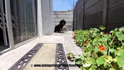 Dog girl: taboo dog sex