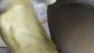Bestiality porno: real animal sex vids