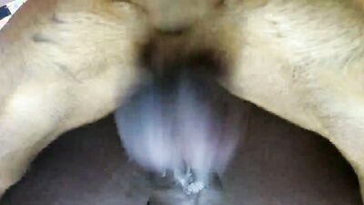 Bestiality porno: real animal sex vids
