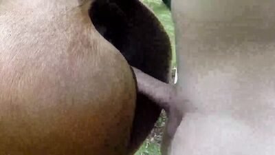 Dog gay porn: dog sex girl manga