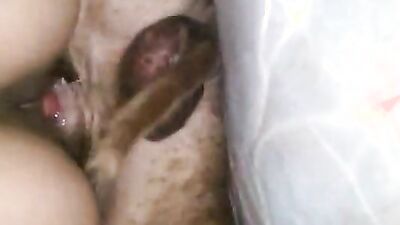Bestiality games: dog day porn