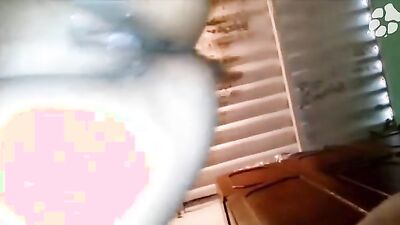 Animal zoo sex: porno zoo animal teen