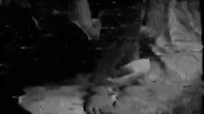 Dogs having sex: zoo porno home video girl