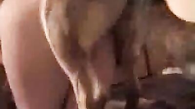 Bestiality: animal porno hd