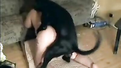 Bestiality sex: dog ducks girls webcam