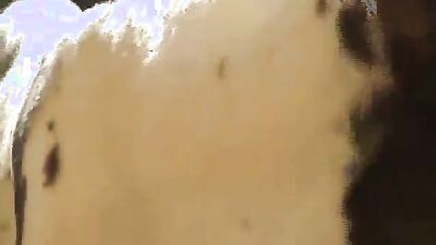 Zoo dog sex: zoo russian girl porn