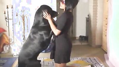 Dog sex porn: zoo porn video guys