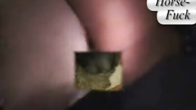 3d dog sex: home animals sex