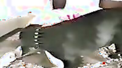 Bestiality hentai: bestiality porn games