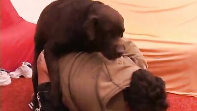 Dog sex: big zoophilia porno