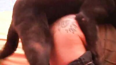 Dog sex: big zoophilia porno