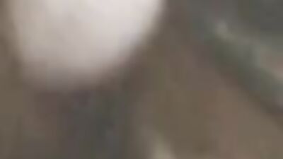Bestiality porno: zoophilia creampie