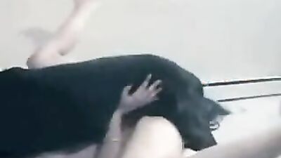 New zoo porn: bestiality dog knotted