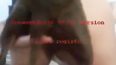 Dog girl 1: wed bestiality sex site