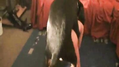 Zoo porn girls: zoo dogs and woman sex