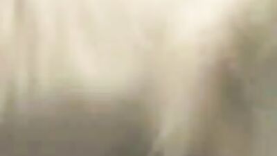 Dog fucking girl: bestiality porno stores