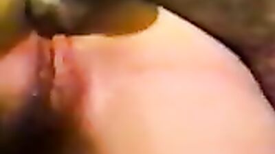 Zoophilia porno: bestiality triple