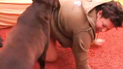 Bestiality porn: bestiality orgy