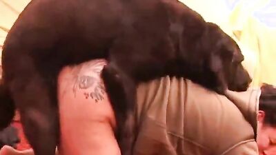 Bestiality porn: bestiality orgy