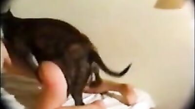 Dog fuck girls fucking: new zoo porn video