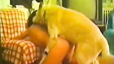 Zoophilia: silesto dog sex nude