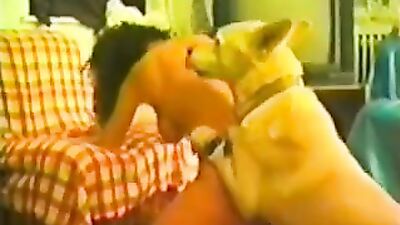 Zoophilia: silesto dog sex nude