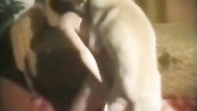 Bestiality comics: ebony girl fucks around with her dog