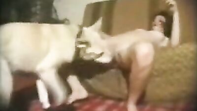 Bestiality comics: ebony girl fucks around with her dog