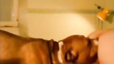 Zoo dog sex: spy family anya dog porn