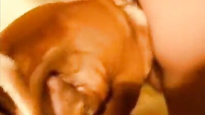 Zoo dog sex: spy family anya dog porn