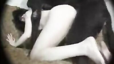 Zoo porn compilation: french zoo porn