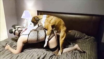 Dog's porn: zooporno art of zoo