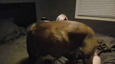 Art of zoo: teens dog sex porn