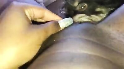 Zoo video: bestiality alisonprod