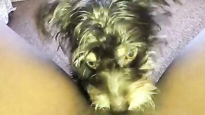 Zoo video: bestiality alisonprod