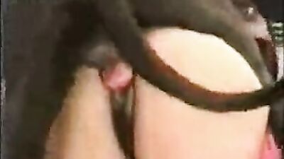 Bestiality sex id: zoo best porn sites