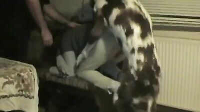 Zoo sex porn: pthc dog lick girl porn