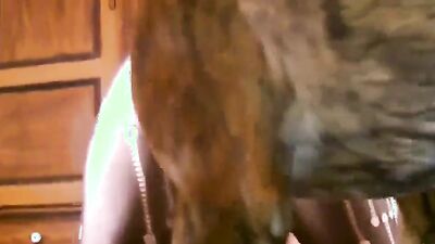 Dog fuck porn: tg channel bestiality hentai