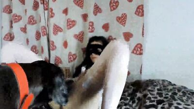 3d bestiality: alison zoo porn