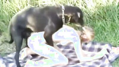 Dog sex: watch porn movies with animals