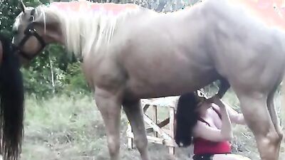 Boy girl dog: free retro zoo film porn