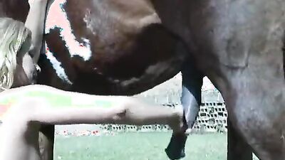 Bestiality sex id: dog ass licking porn