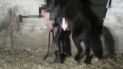 Girl cat dog: foreign zoo porn videos