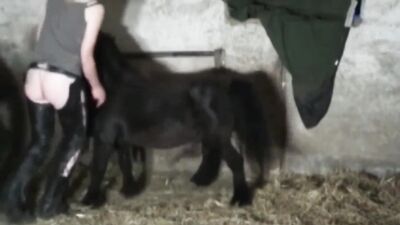 Girl cat dog: foreign zoo porn videos