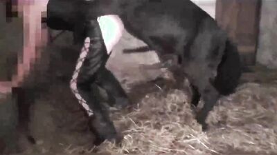 3d bestiality: zoophilia telegram